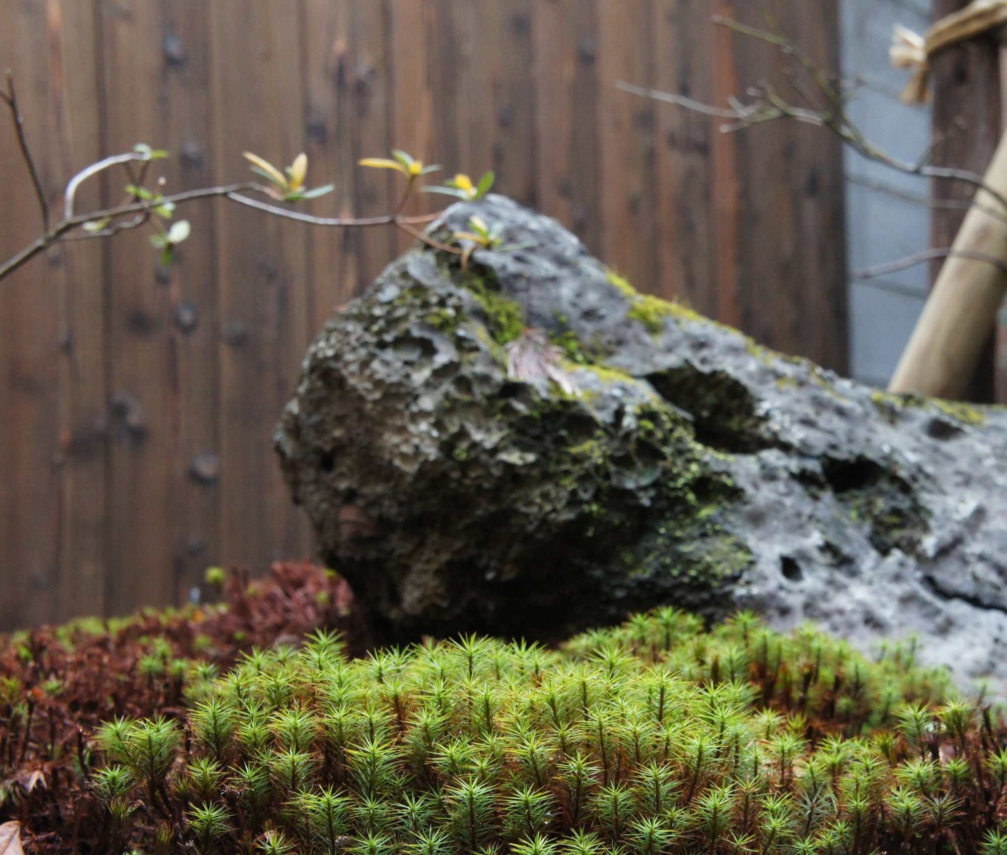 Korakuan Villa Kyoto Buitenkant foto